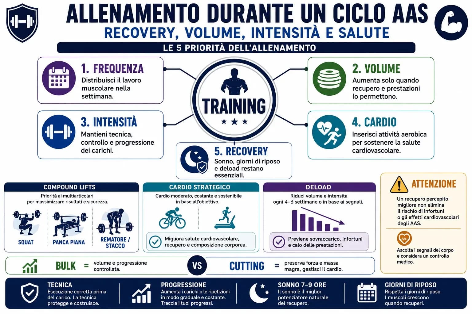 Infografica sull'allenamento durante un ciclo AAS con frequenza, volume, intensità, cardio, deload e recupero