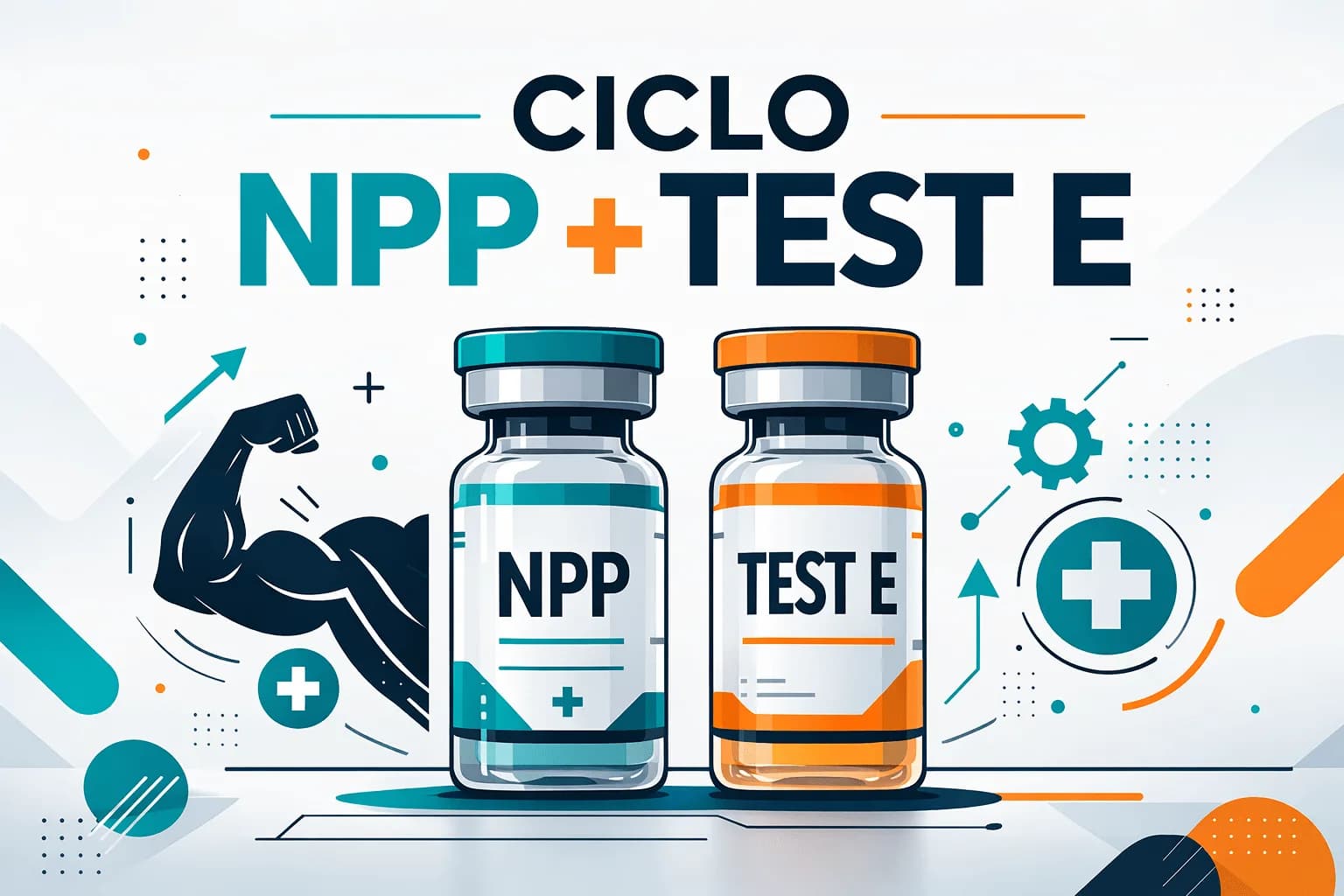 NPP per il bodybuilding: Crescita muscolare, sollievo articolare e combinazioni