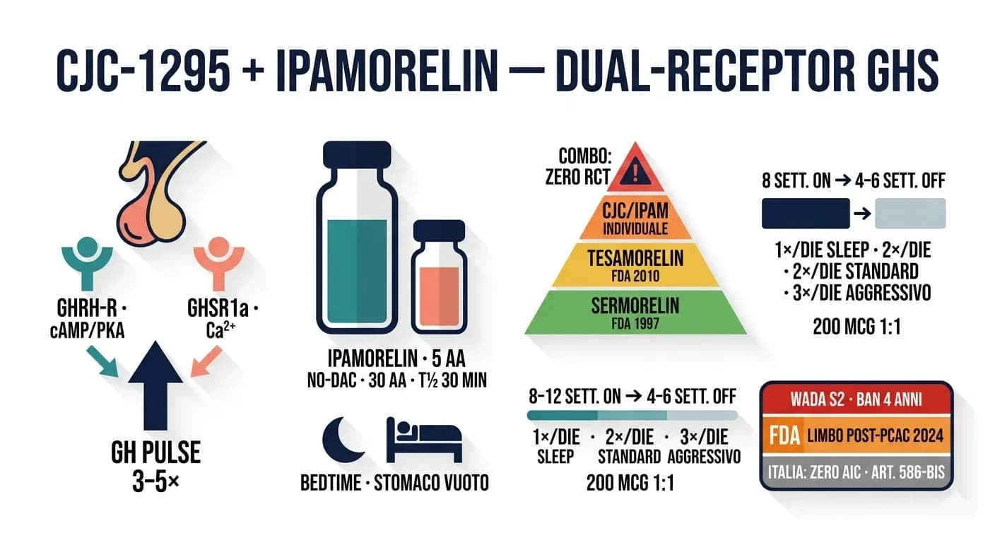 CJC-1295 + Ipamorelin: il peptide per rilascio di GH