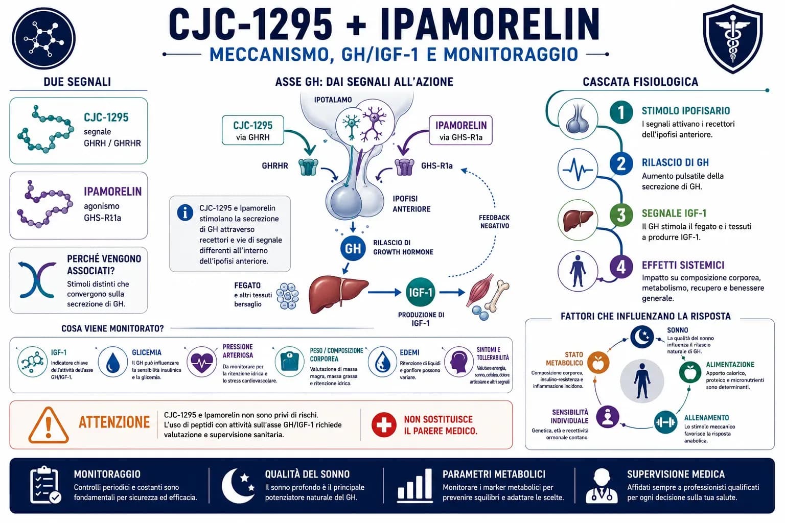 Infografica su CJC-1295 e Ipamorelin con recettori GHRHR e GHS-R1a, rilascio di GH, produzione di IGF-1 e parametri di monitoraggio