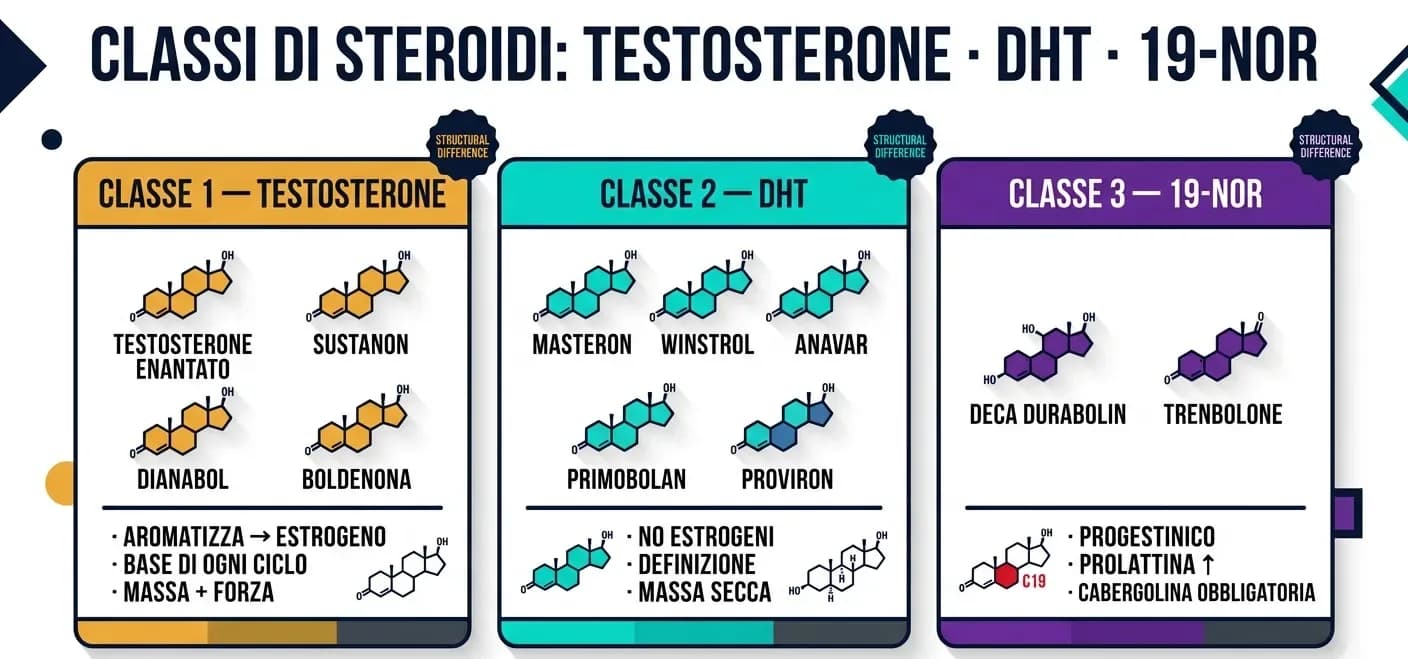 Steroidi anabolizzanti per famiglia chimica: derivati del testosterone, del DHT e 19-Nor