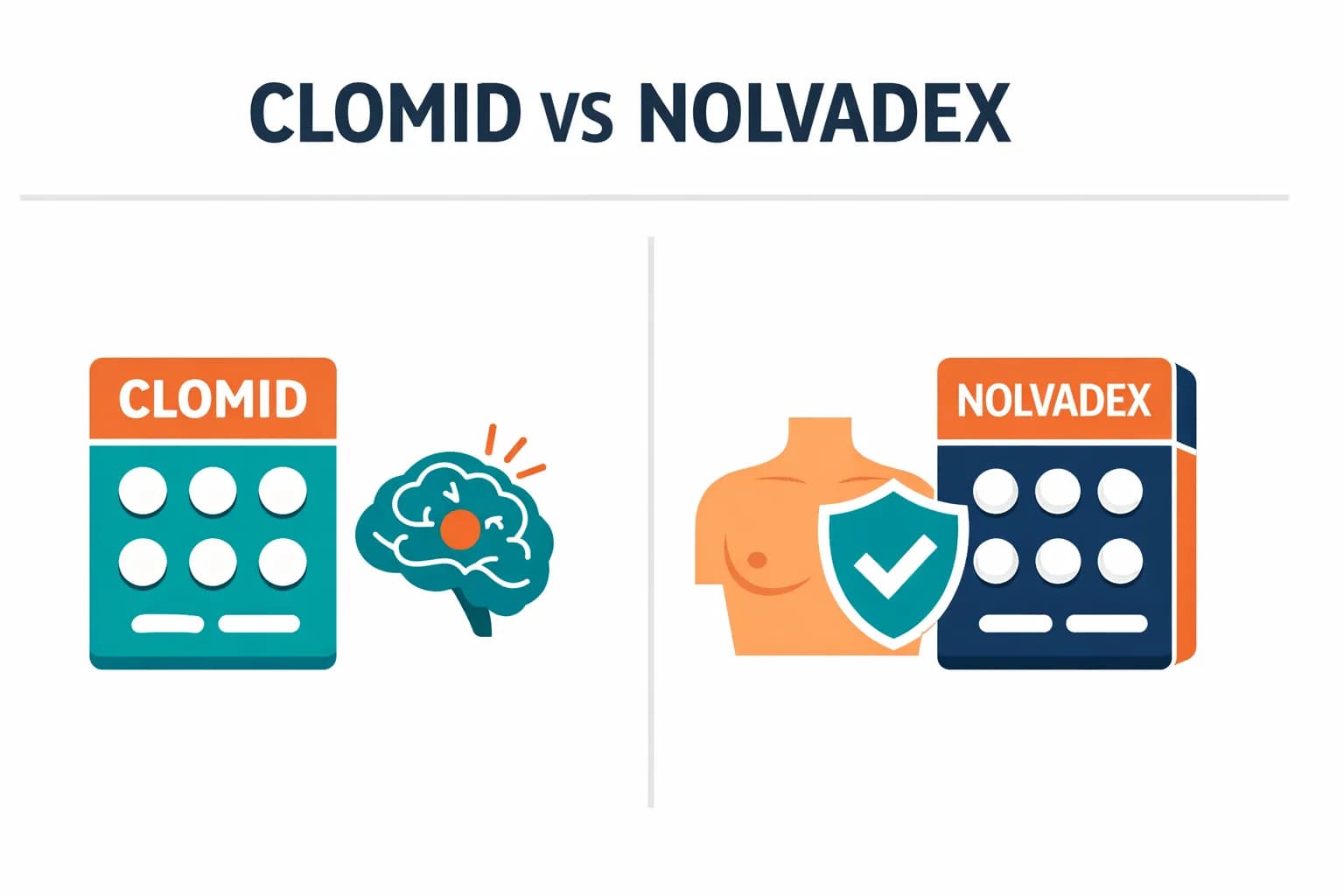 Clomid vs Nolvadex: Il Miglior SERM per il Recupero Post-Ciclo