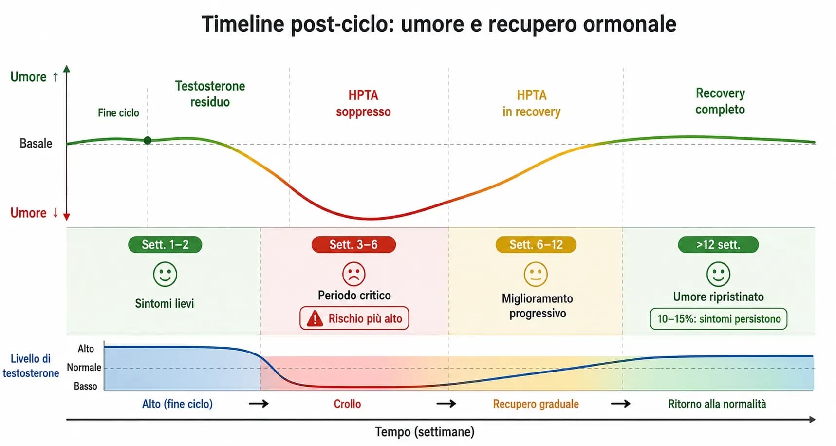 Timeline della depressione post-ciclo in quattro fasi: settimane 1–2 con sintomi lievi, settimane 3–6 come periodo critico con umore al minimo e HPTA soppresso, settimane 6–12 con miglioramento progressivo durante PCT, e oltre 12 settimane con recovery co