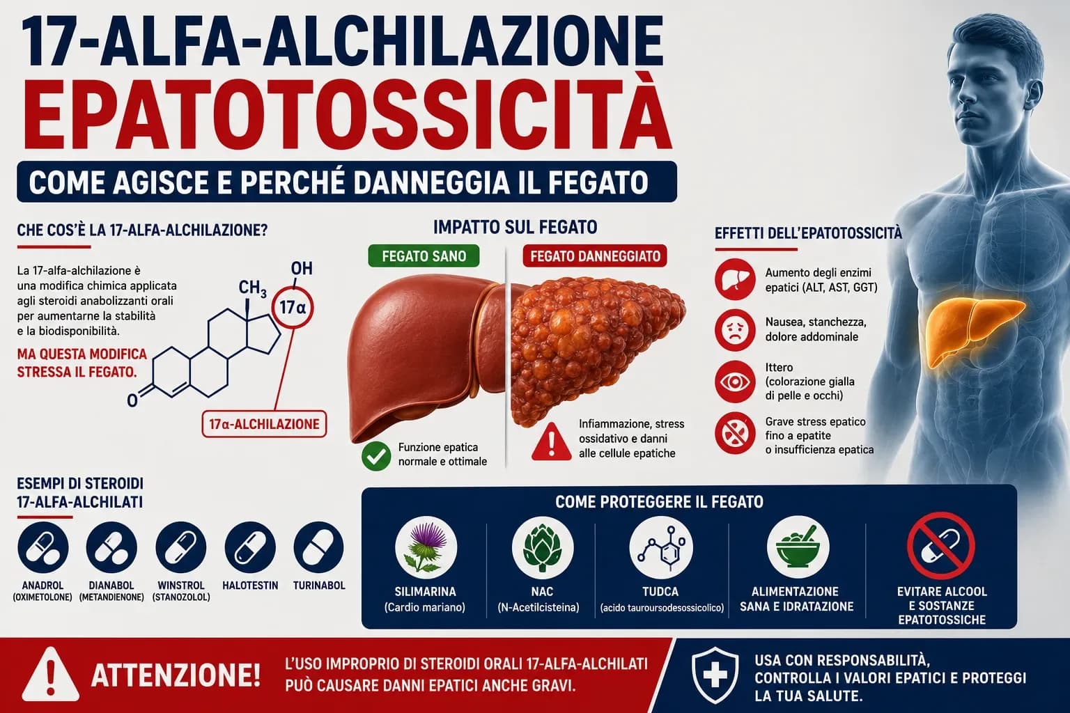 Grafico a barre dell'epatotossicità dei sette steroidi 17-alfa-alchilati più comuni: dall'Oxandrolone (1,5-2x ALT, meno tossico) al Superdrol (5-10x ALT, estremo) con soglie di attenzione e stop