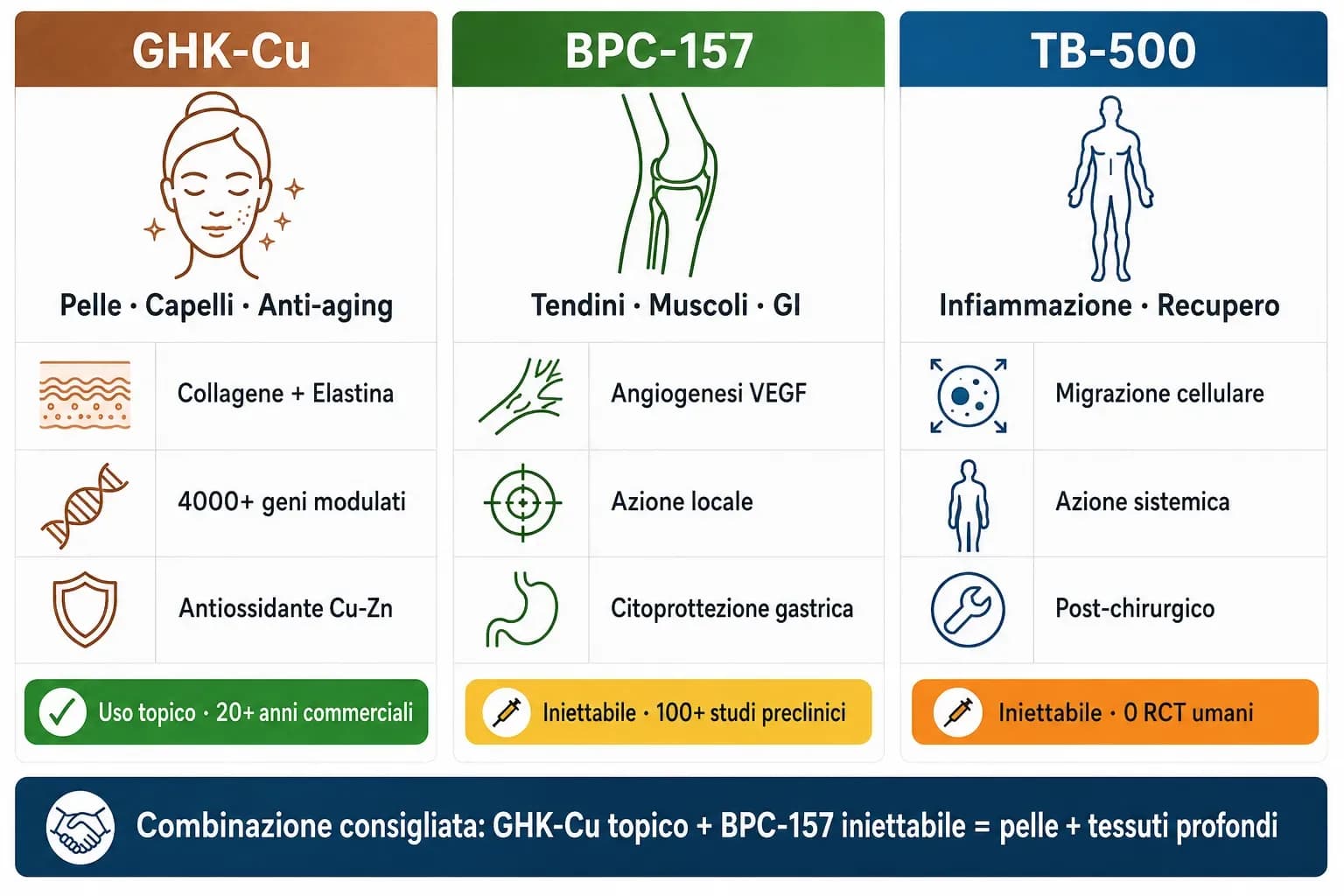 Infografica confronto tra tre peptidi rigenerativi: GHK-Cu per pelle, capelli e anti-aging con uso topico consolidato; BPC-157 per tendini, muscoli e GI con azione locale; TB-500 per infiammazione e recupero con azione sistemica