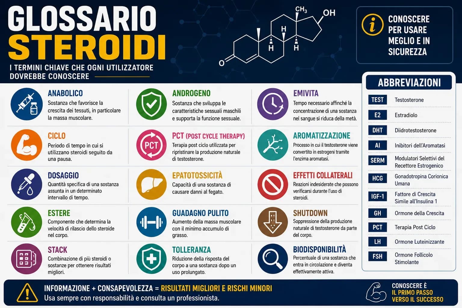 Mappa concettuale dei termini del glossario steroidi e bodybuilding organizzati in sei categorie: composti AAS, PCT, supporto ciclo, ormoni, somministrazione e legale