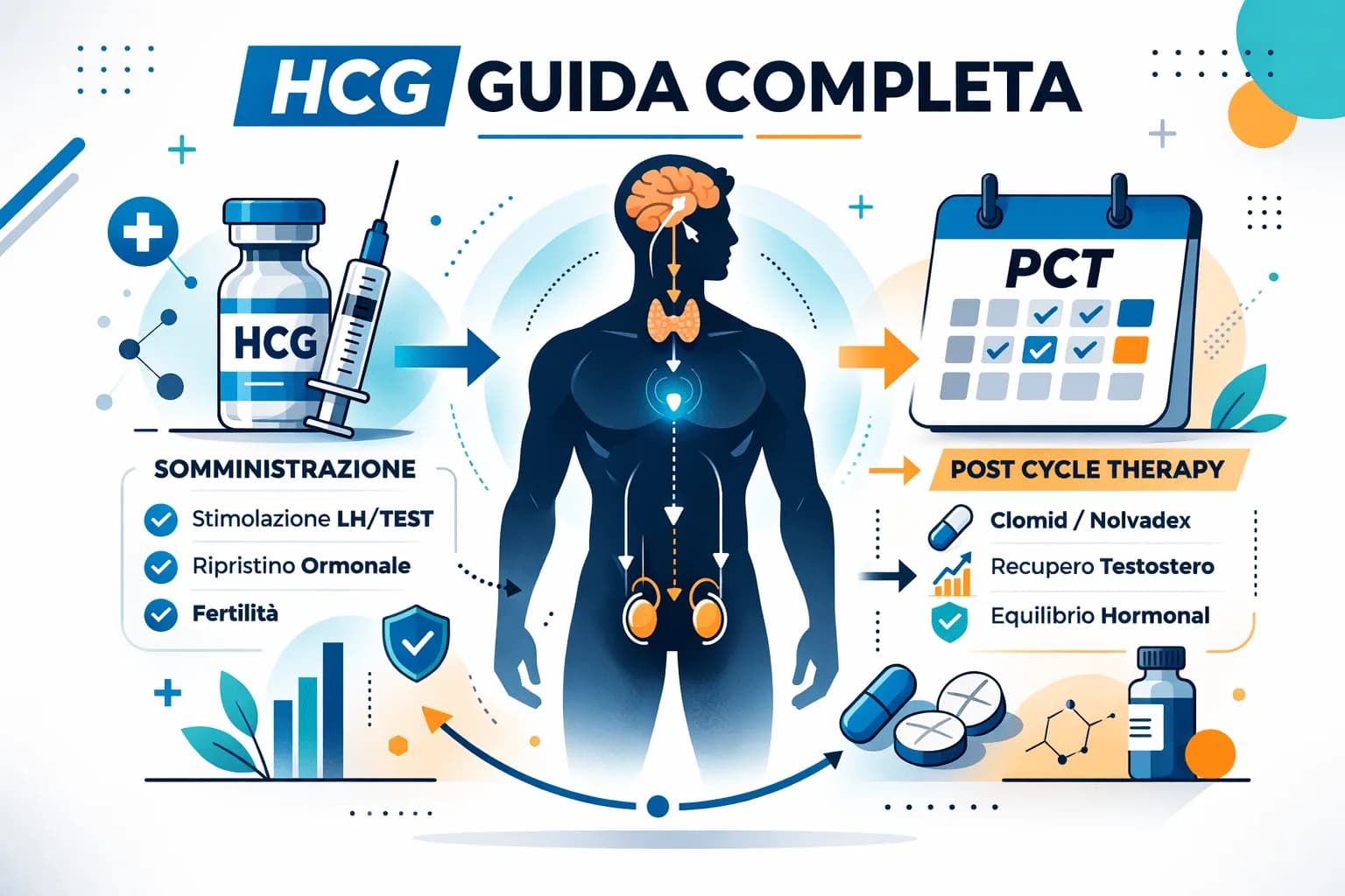 HCG per il Testosterone: Uso nella PCT, Dosaggio e Supporto alla Fertilità