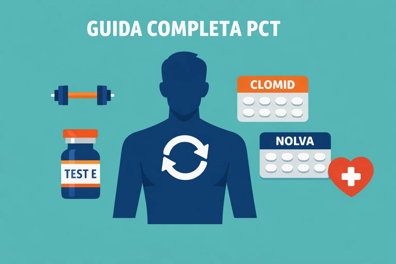 PCT Dopo Steroidi: Guida Passo Passo per Principianti al Recupero