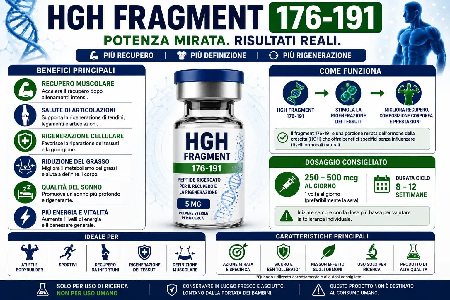 HGH Fragment 176-191 (AOD-9604): guida completa al peptide per la lipolisi selettiva