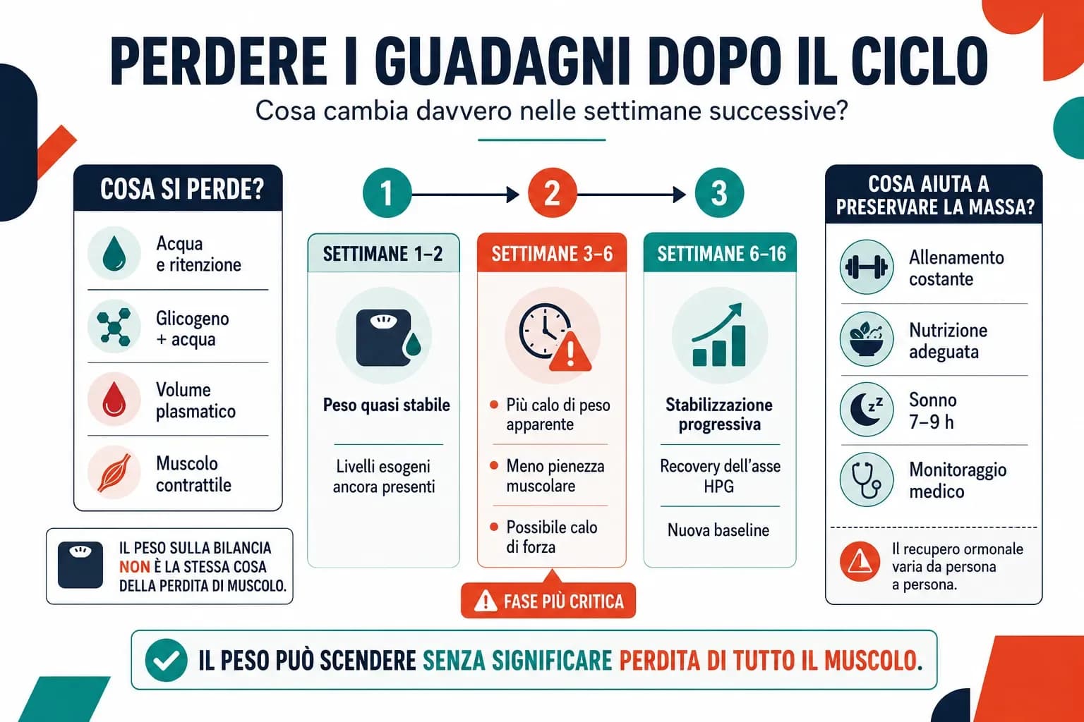 Cronología semanal de la pérdida de ganancias tras un ciclo de esteroides, con las fases de recuperación de la testosterona y la evolución del peso corporal.