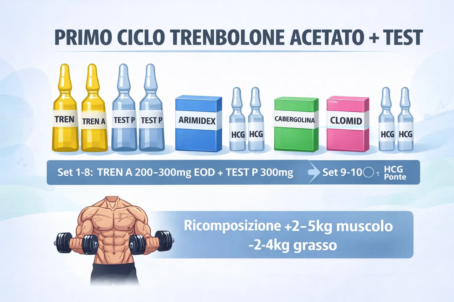 Ciclo Trenbolone + Testosterone