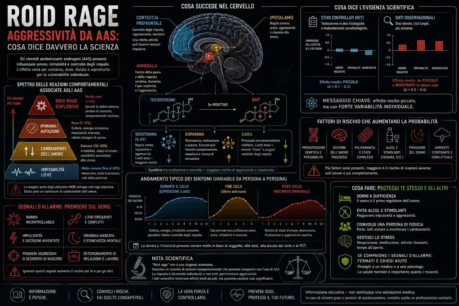 Infografica sulla roid rage e l'aggressività associata agli AAS con meccanismi cerebrali, testosterone e DHT, evidenze scientifiche, fattori di rischio e segnali d'allarme