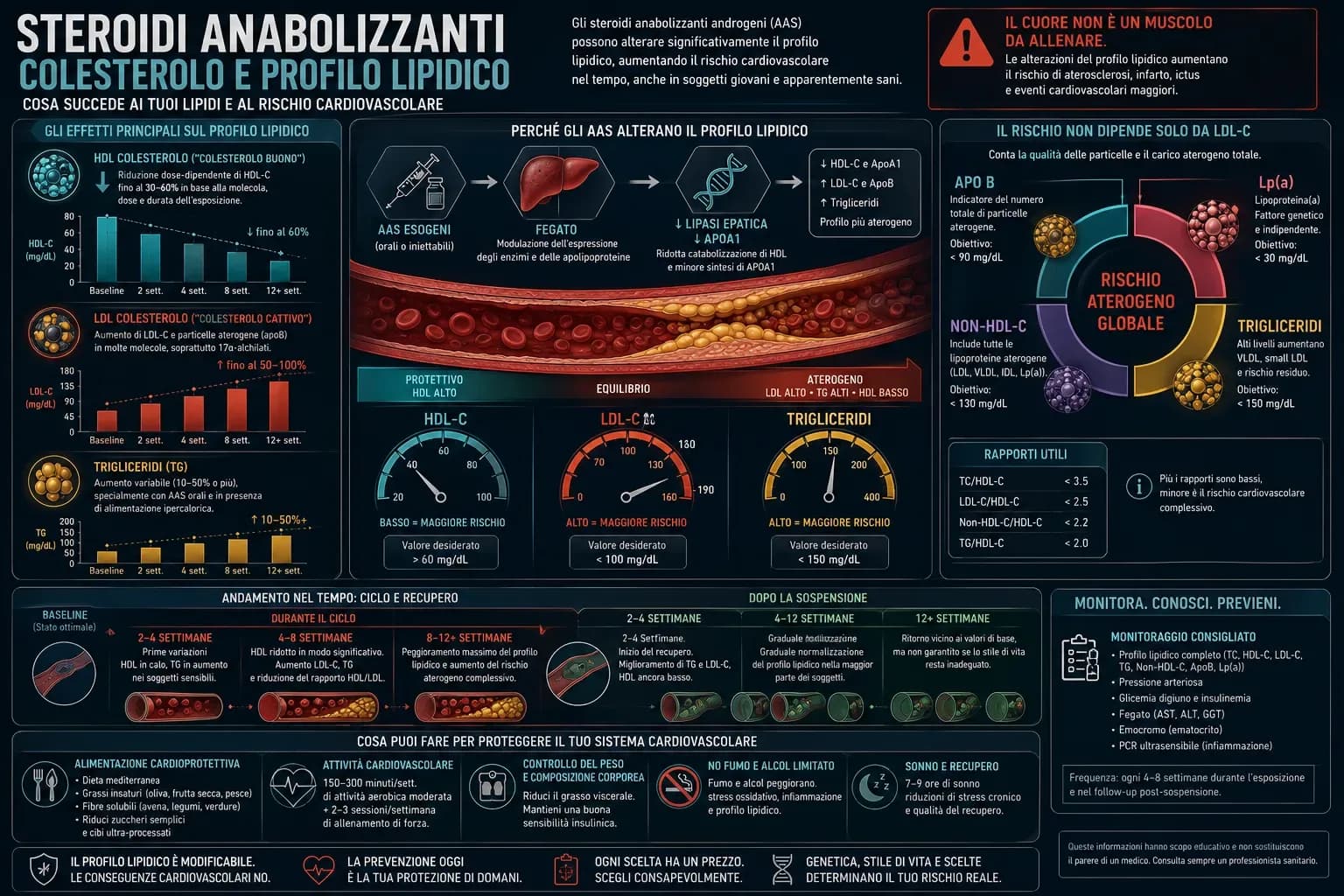 Infografica sugli effetti degli steroidi anabolizzanti sul profilo lipidico con HDL, LDL, trigliceridi, ApoB, Lp(a), meccanismi epatici e monitoraggio cardiovascolare