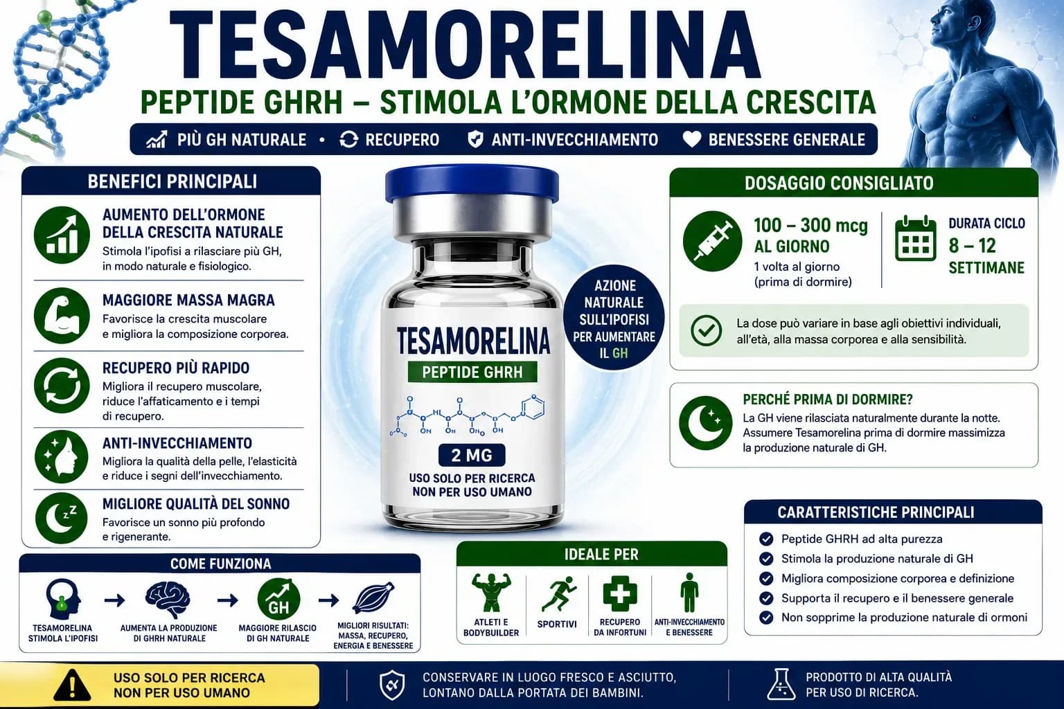 Sezione addominale che mostra la selettività della Tesamorelina per il grasso viscerale profondo con riduzione del 18% vs 3% del sottocutaneo nei trial fase 3