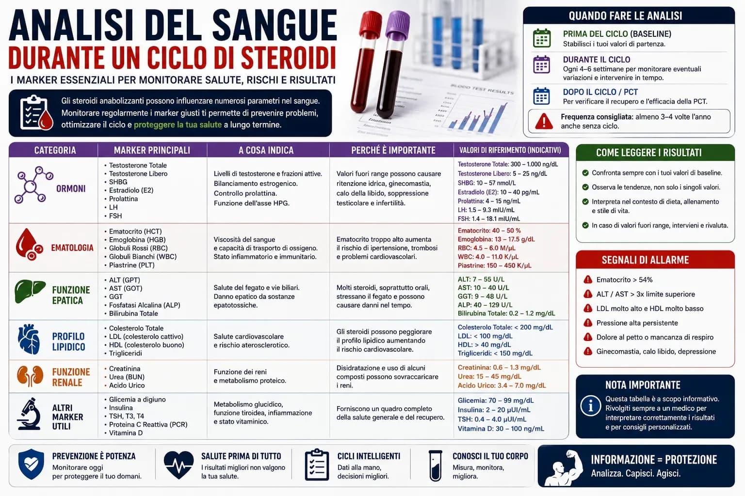 Timeline dei quattro prelievi ematici durante ciclo di steroidi: baseline, mid-cycle, fine ciclo e post-PCT con marker specifici per ogni finestra