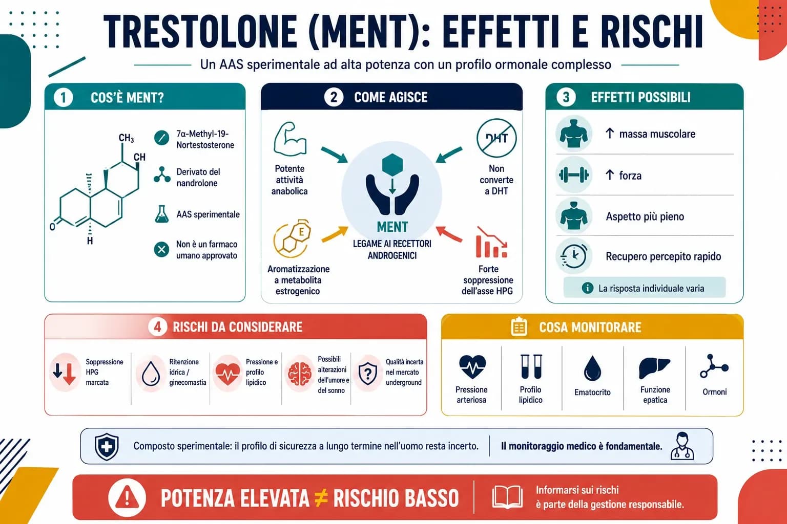Perfil de la trestolona (MENT), con su potencia anabólica, conversión estrogénica y efectos sobre el eje hormonal masculino.
