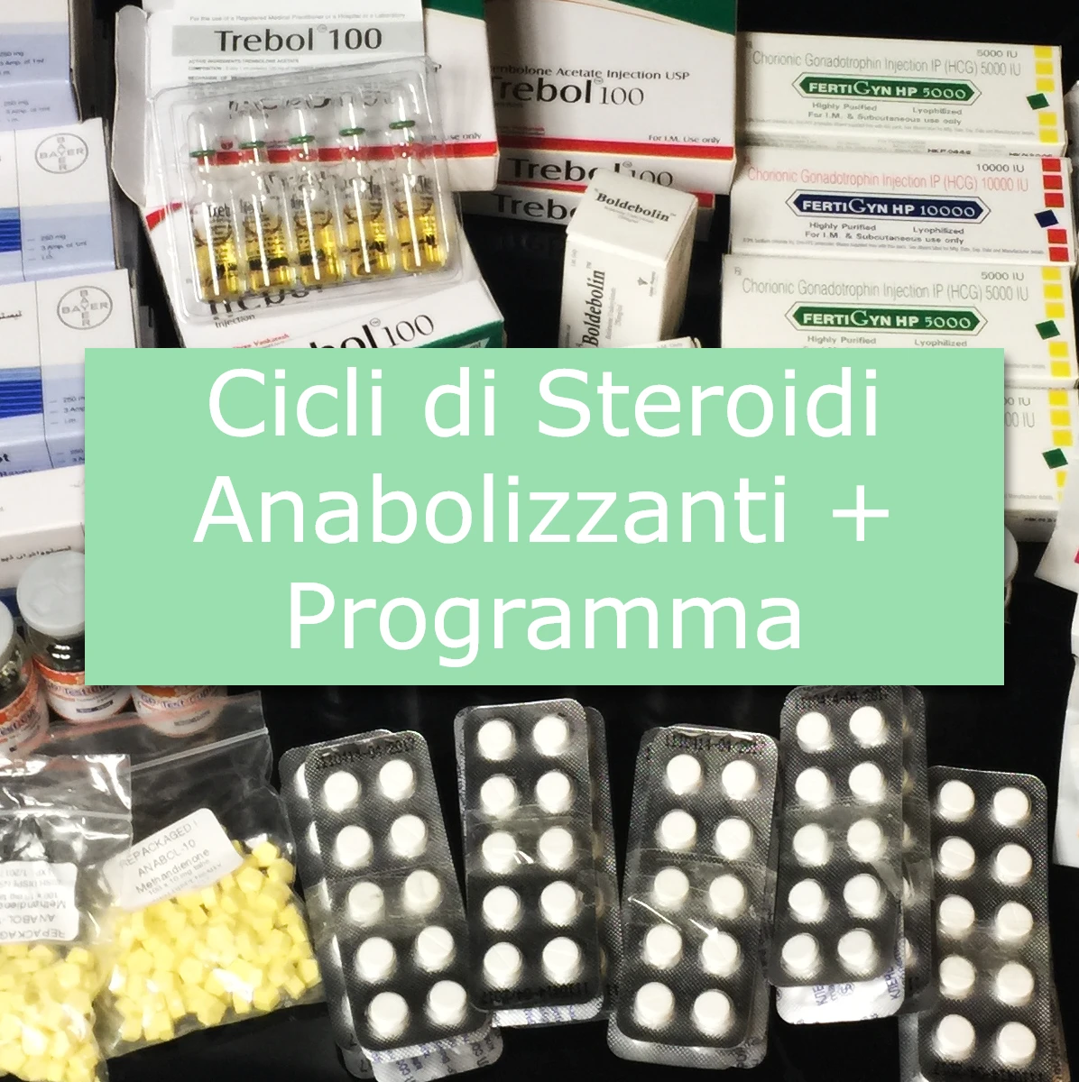 Cicli di Steroidi Anabolizzanti + Programma