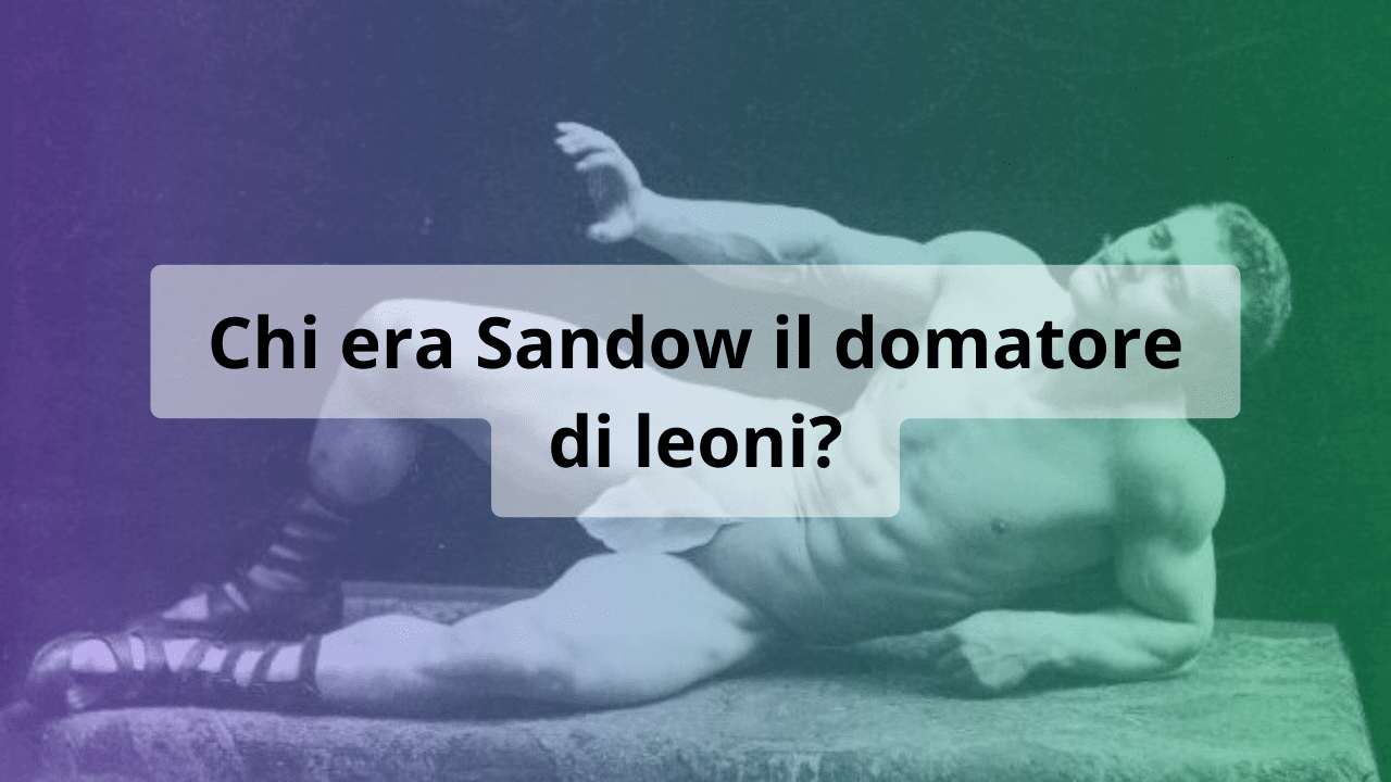 sandow domatori leoni